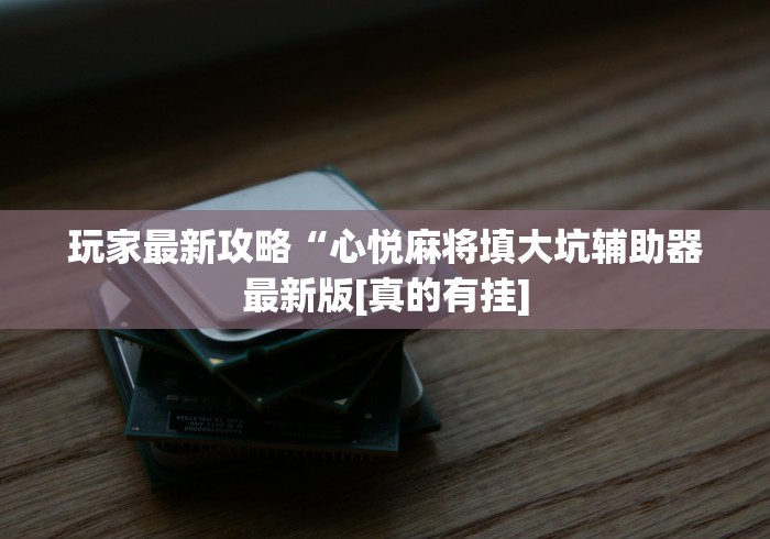 玩家最新攻略“心悦麻将填大坑辅助器最新版[真的有挂]