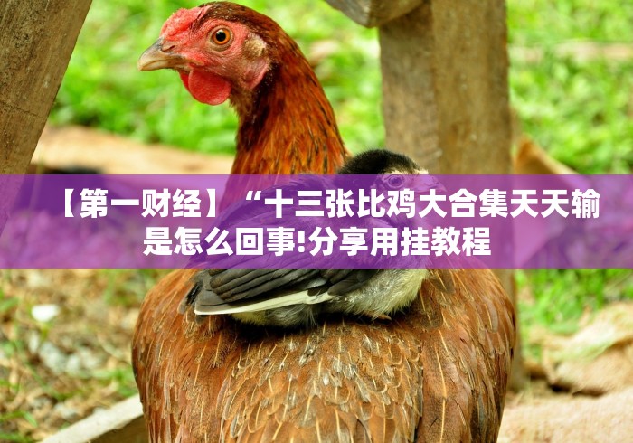 玩家秒懂“微信哈哈跑得快是如何算胜率的”事实上真的有挂 玩家秒懂“微信哈哈跑得快是如何算胜率的”事实上真的有挂